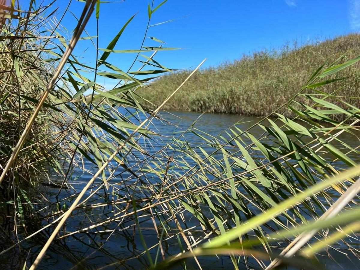 Casa Presente Guesthouse