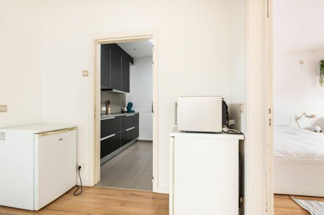 African heritage Tervuren