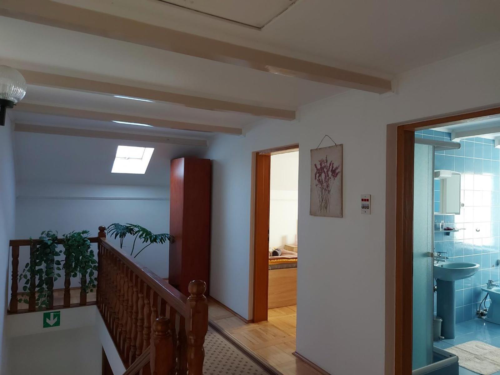 Skitnica Kampus apartman i sobe