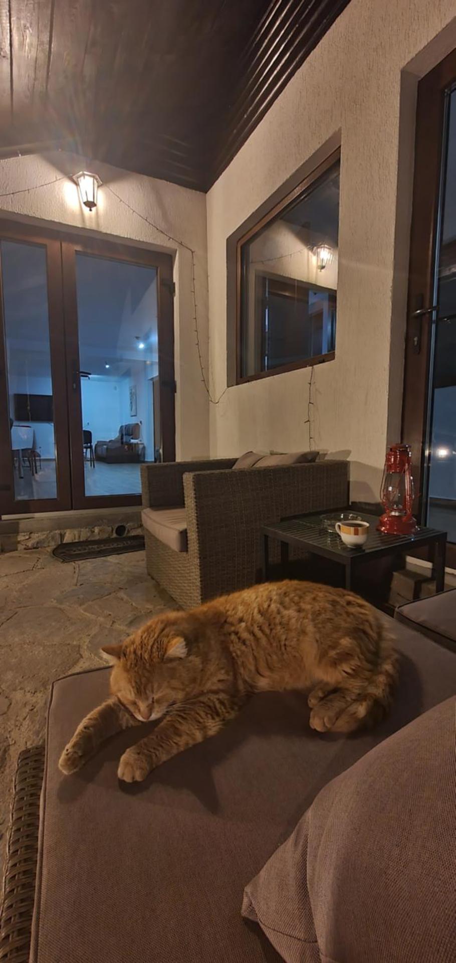 Pensiunea Sara pe deal