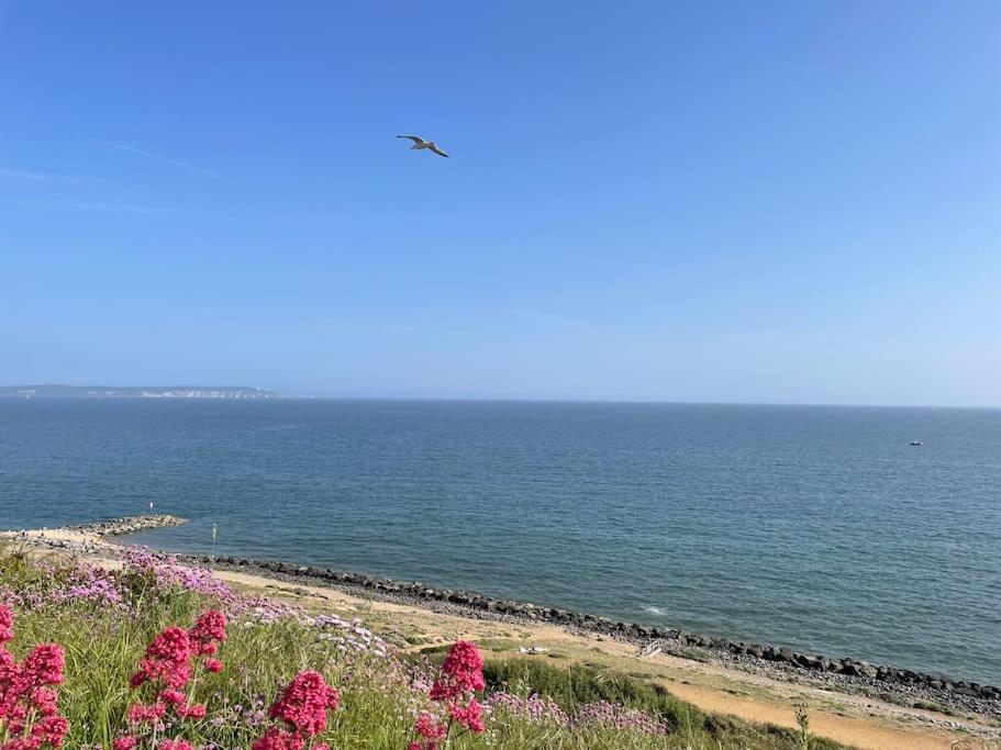 Cosy accommodation, easy walk to beach!