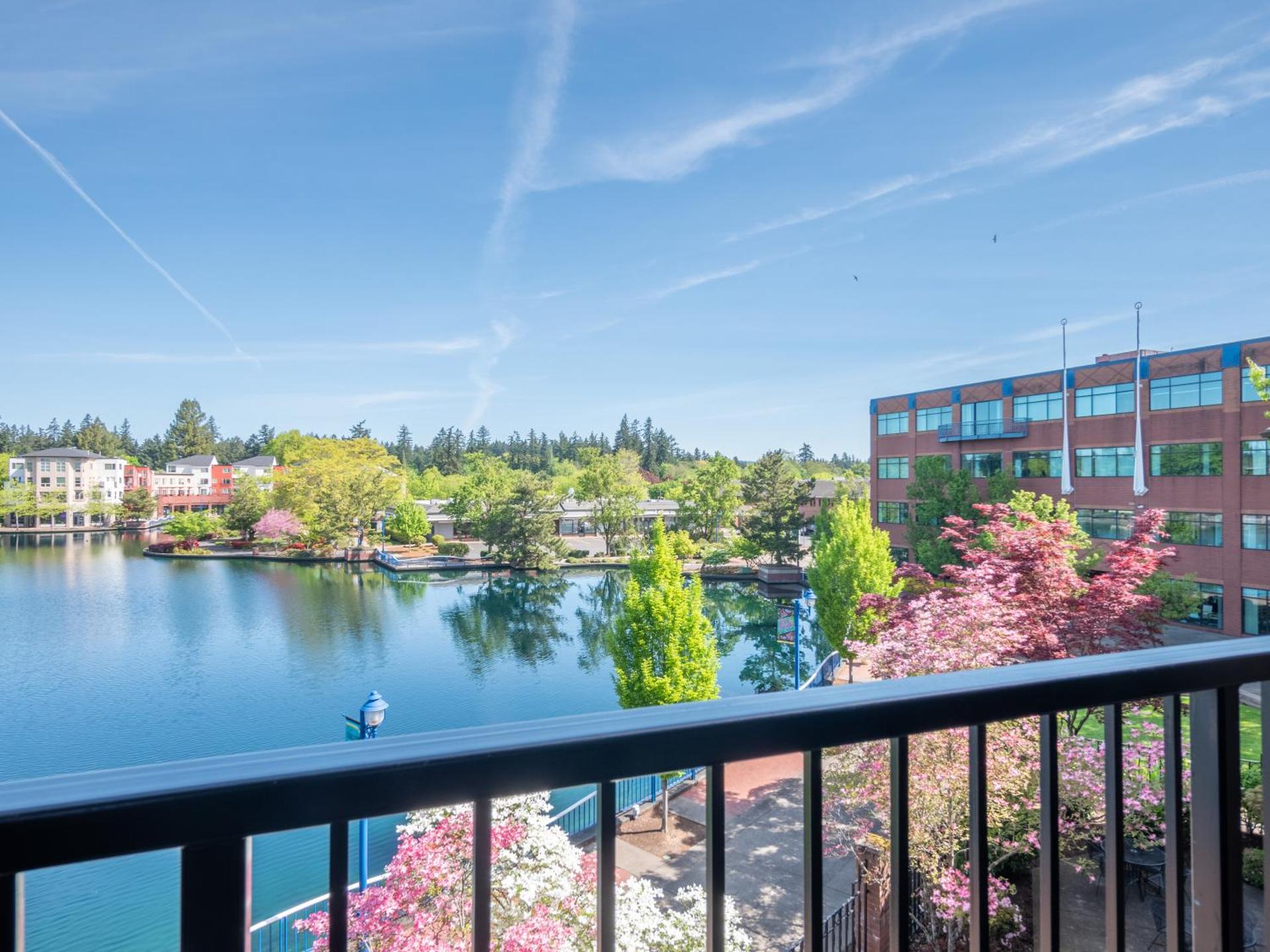 View (from property/room)