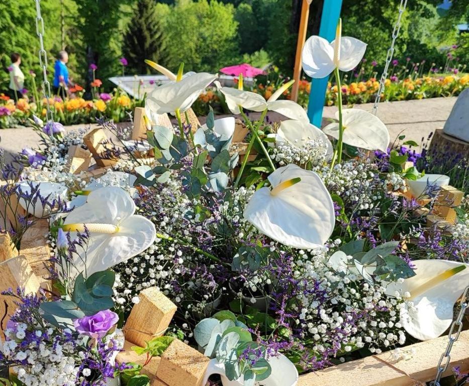 Sternstube – Appartement mit traumhaftem Weitblick