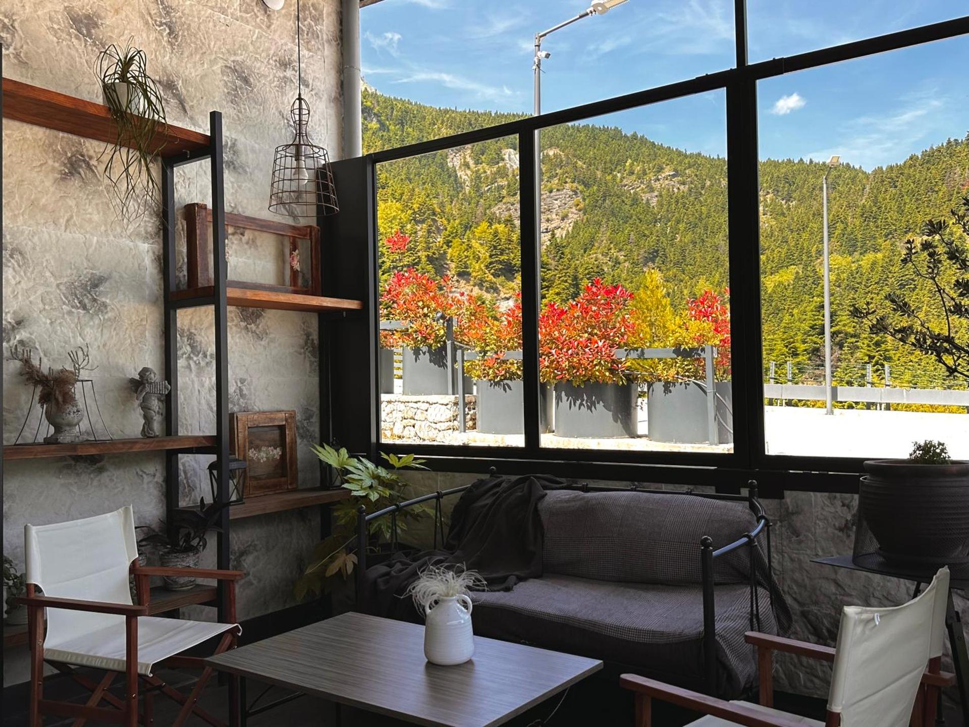 View (from property/room)