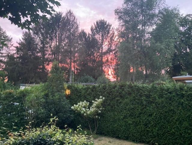 Chalet Wild Forest, knus chalet op de Veluwe met gratis parkeren