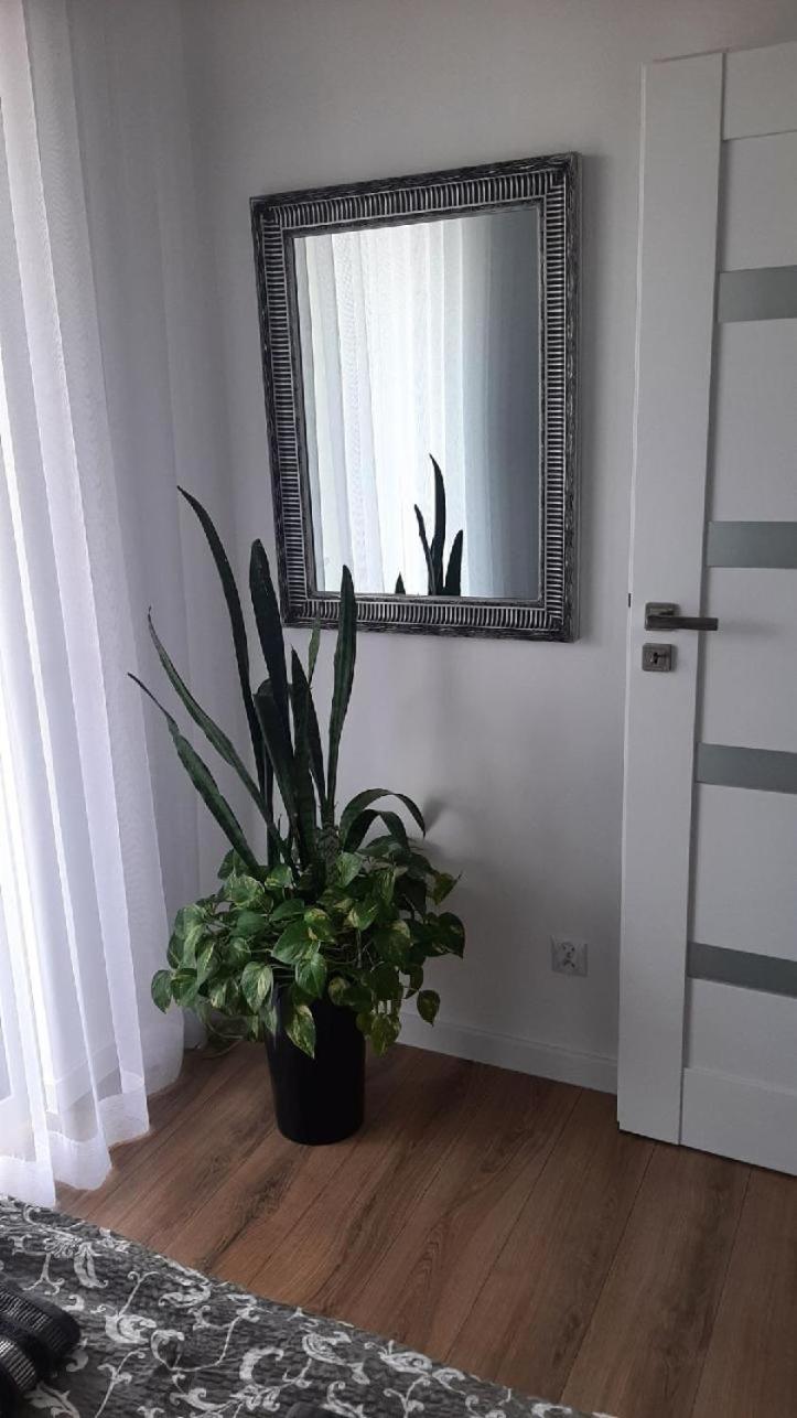 Apartament z widokiem Łańcut