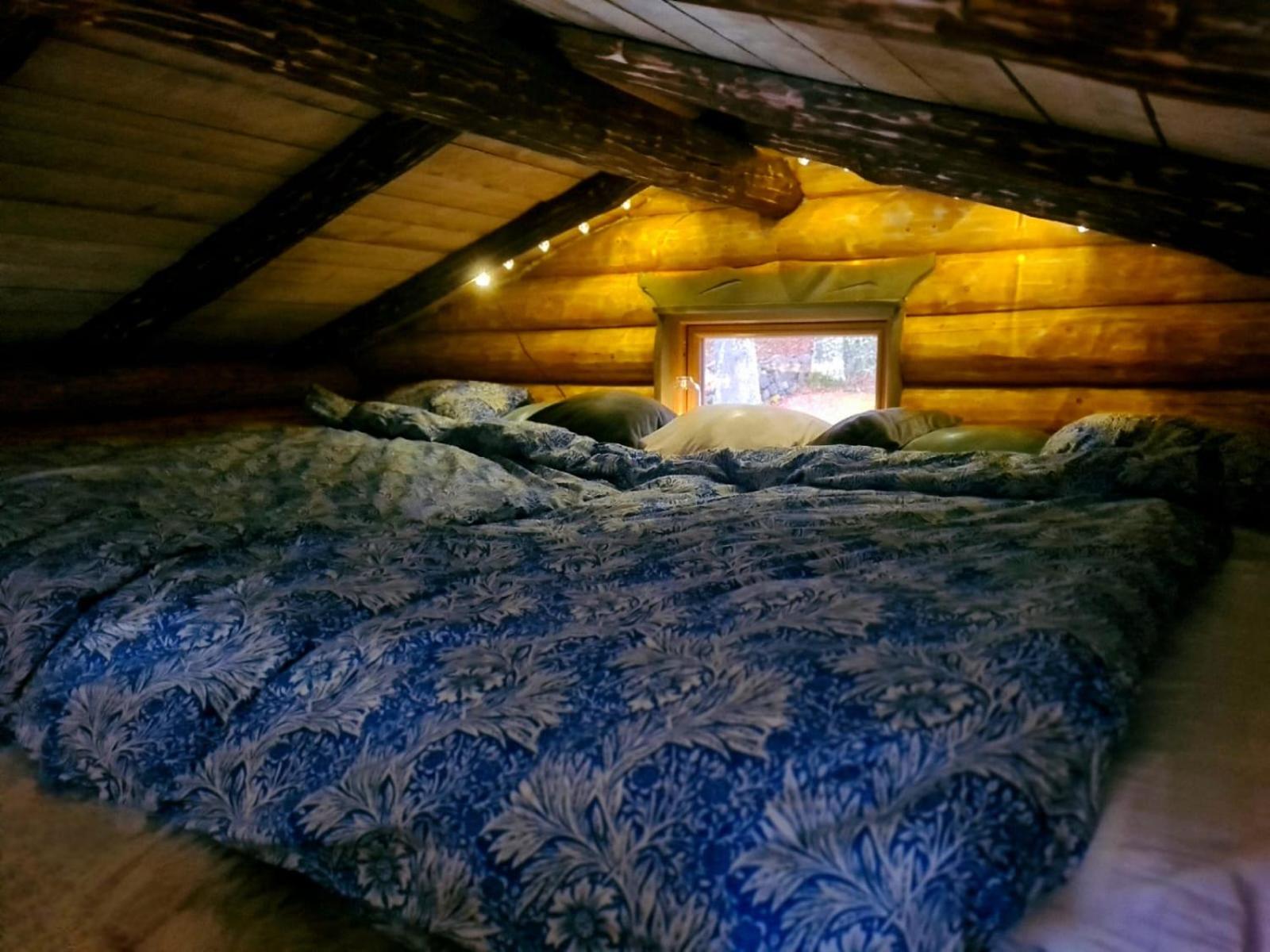 Cozy Lakeside Adventure