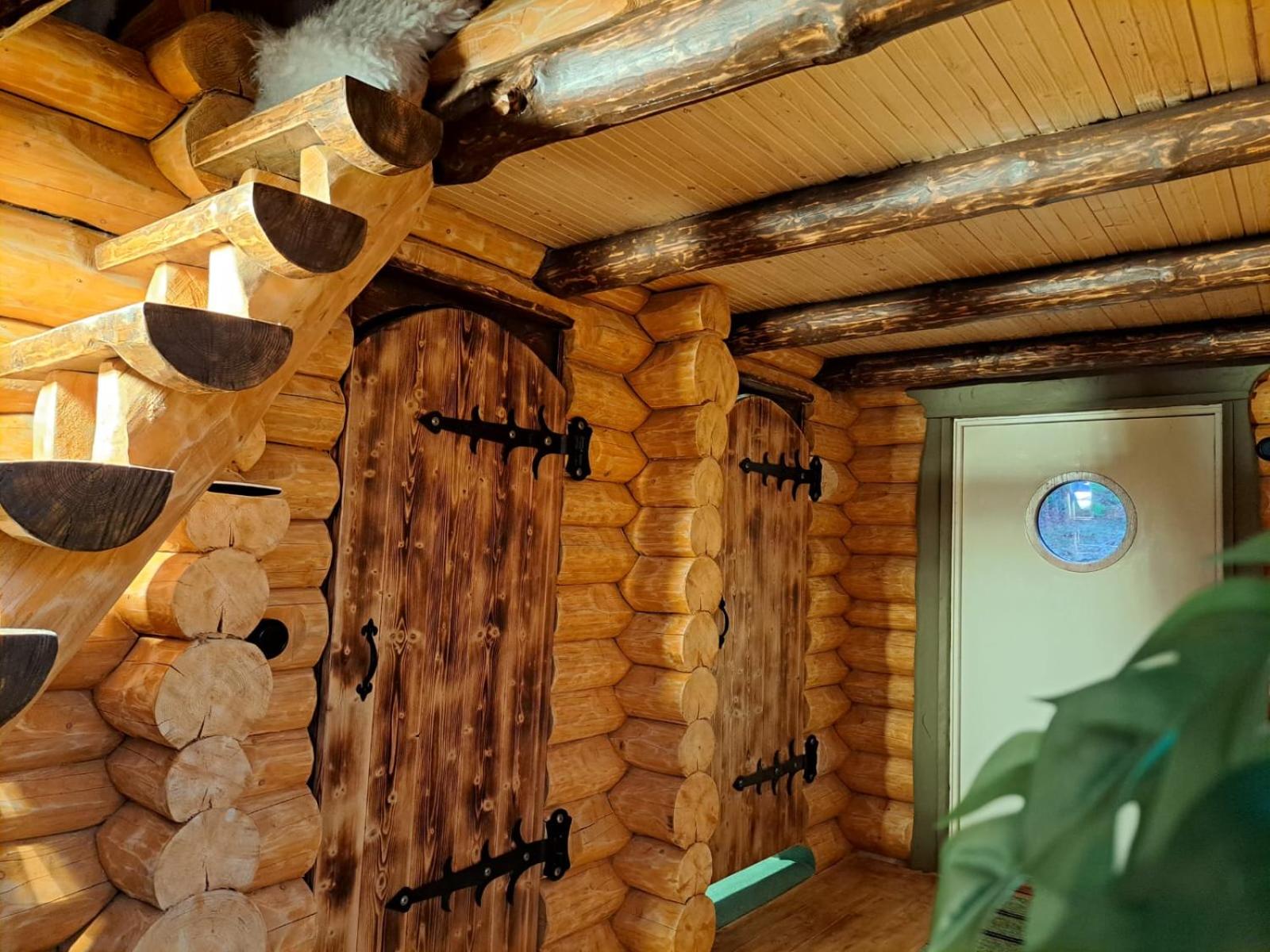 Cozy Lakeside Adventure