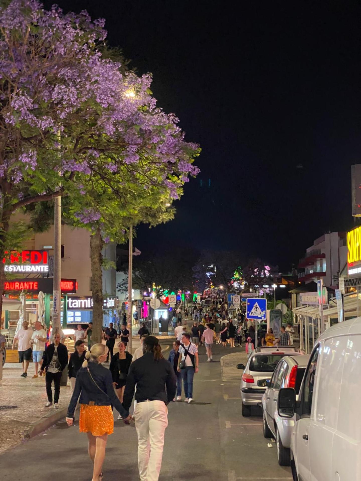 Guest House Casa Ramos on the Strip