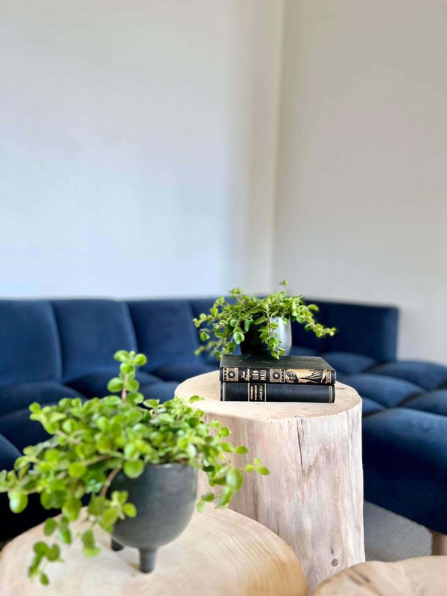 Smiðjan - main road Stykkishólmi