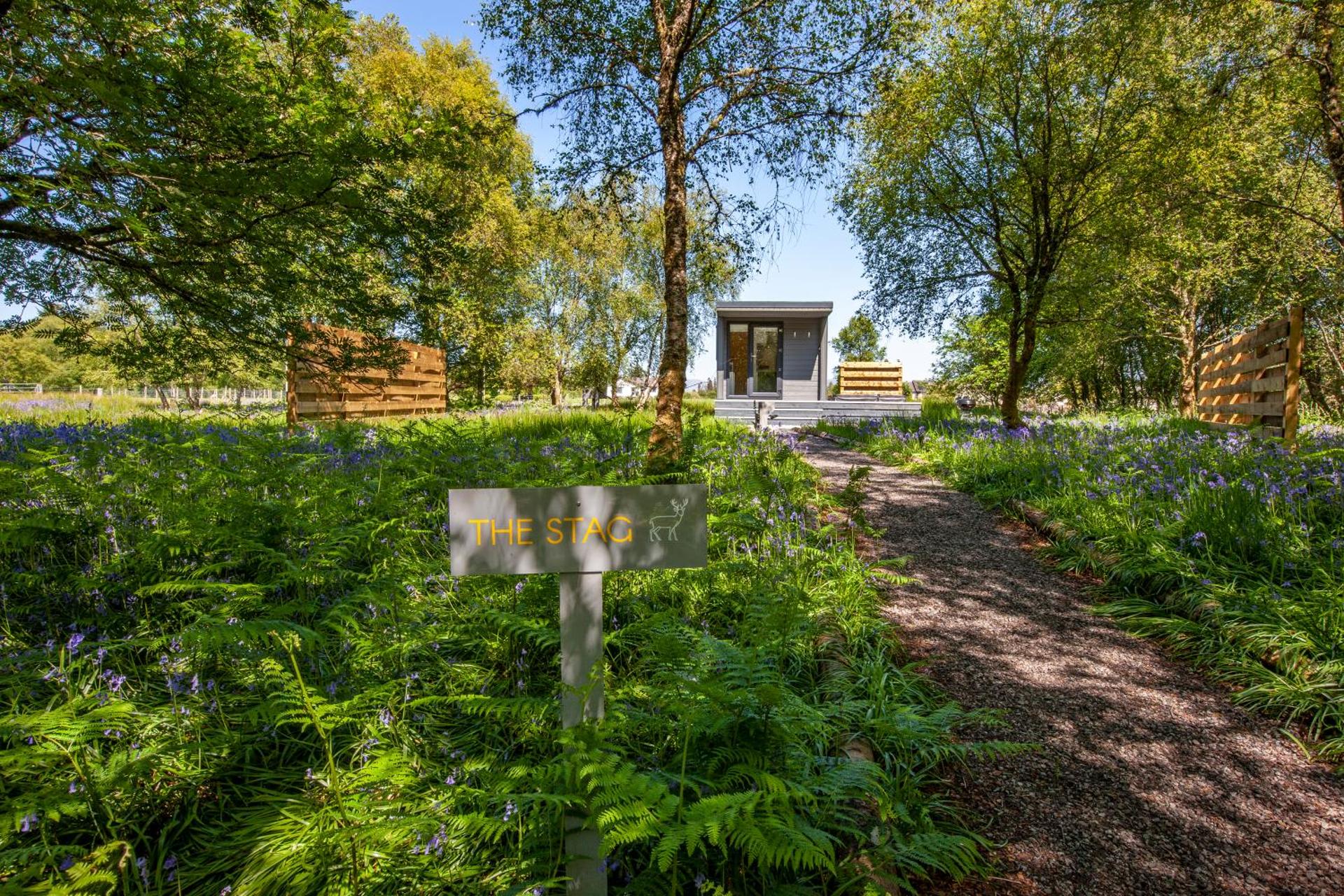 The Stag, Luxury pod with hot tub, Croft4glamping