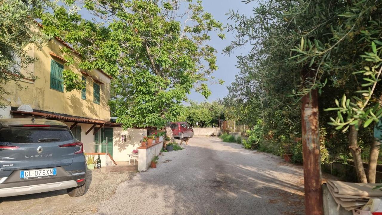 Le colonne di cesare