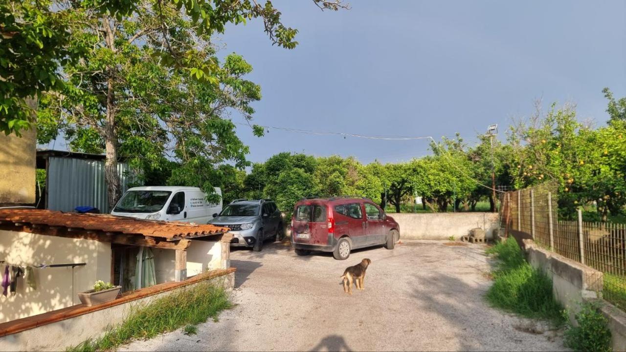 Le colonne di cesare