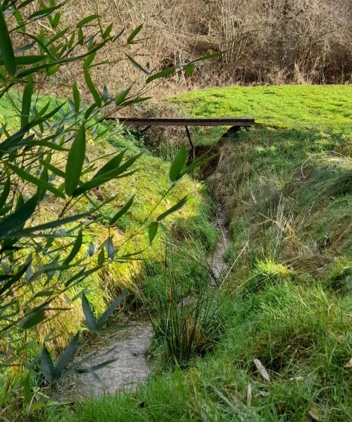 Chambres et table d'hôtes : LES SENTIERS DE LA BREME