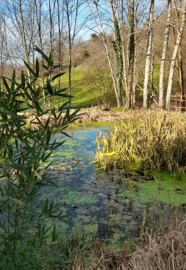 Chambres et table d'hôtes : LES SENTIERS DE LA BREME