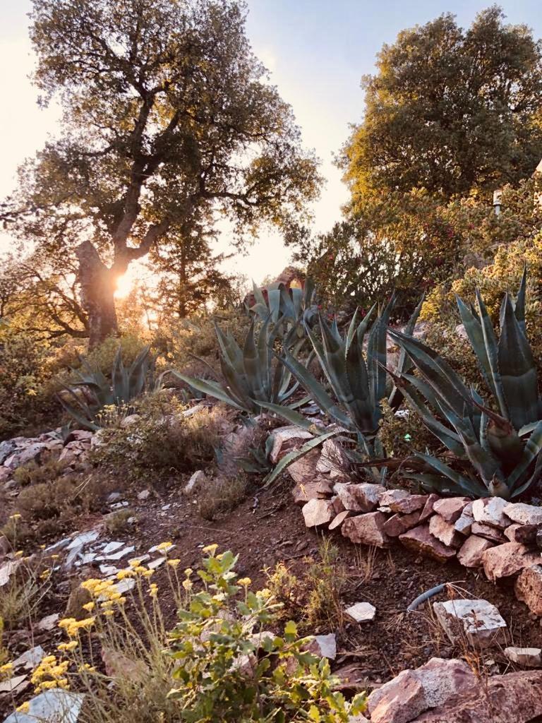 L’Hacienda Maison d’hôtes