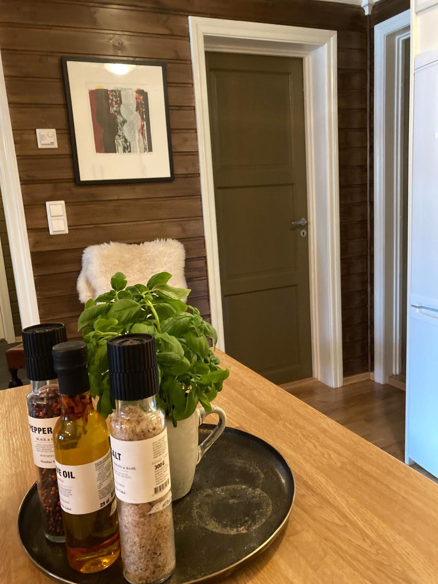 Bo lunt og koselig på Filefjell