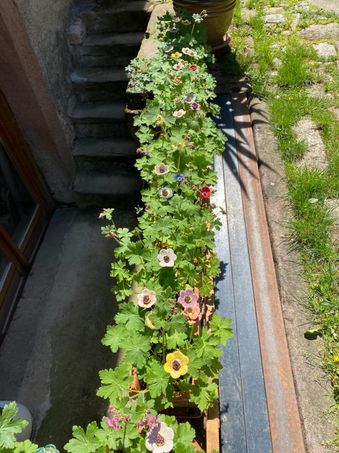 Inner courtyard view