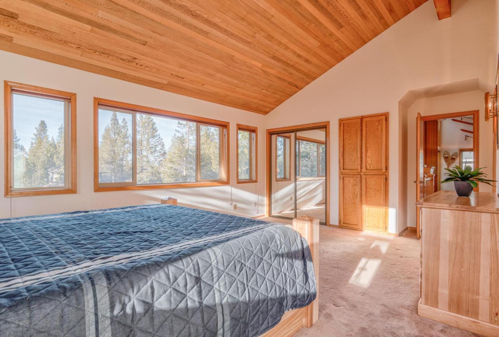 Paper Birch - Unit 10