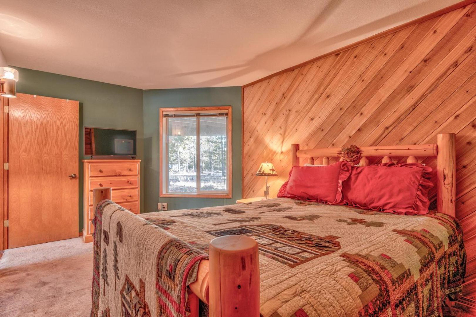 Paper Birch - Unit 10