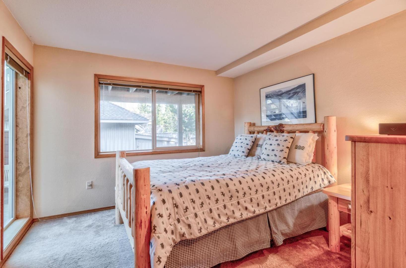 Paper Birch - Unit 10