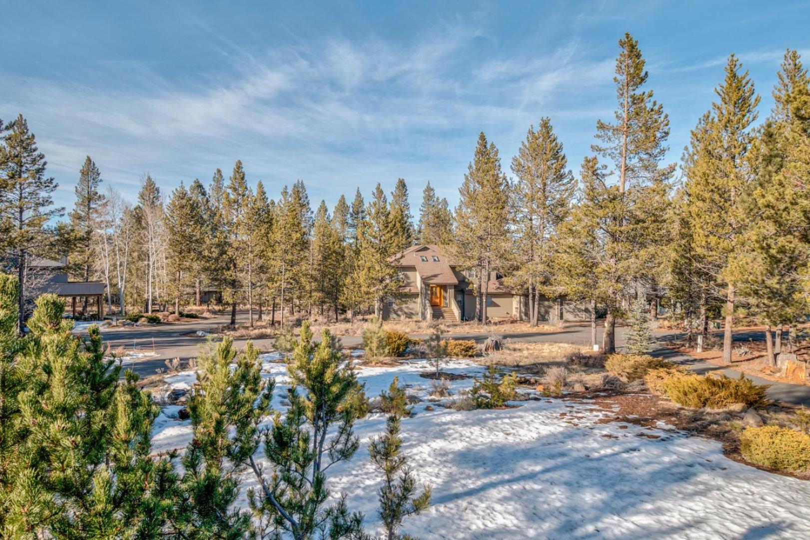 Paper Birch - Unit 10