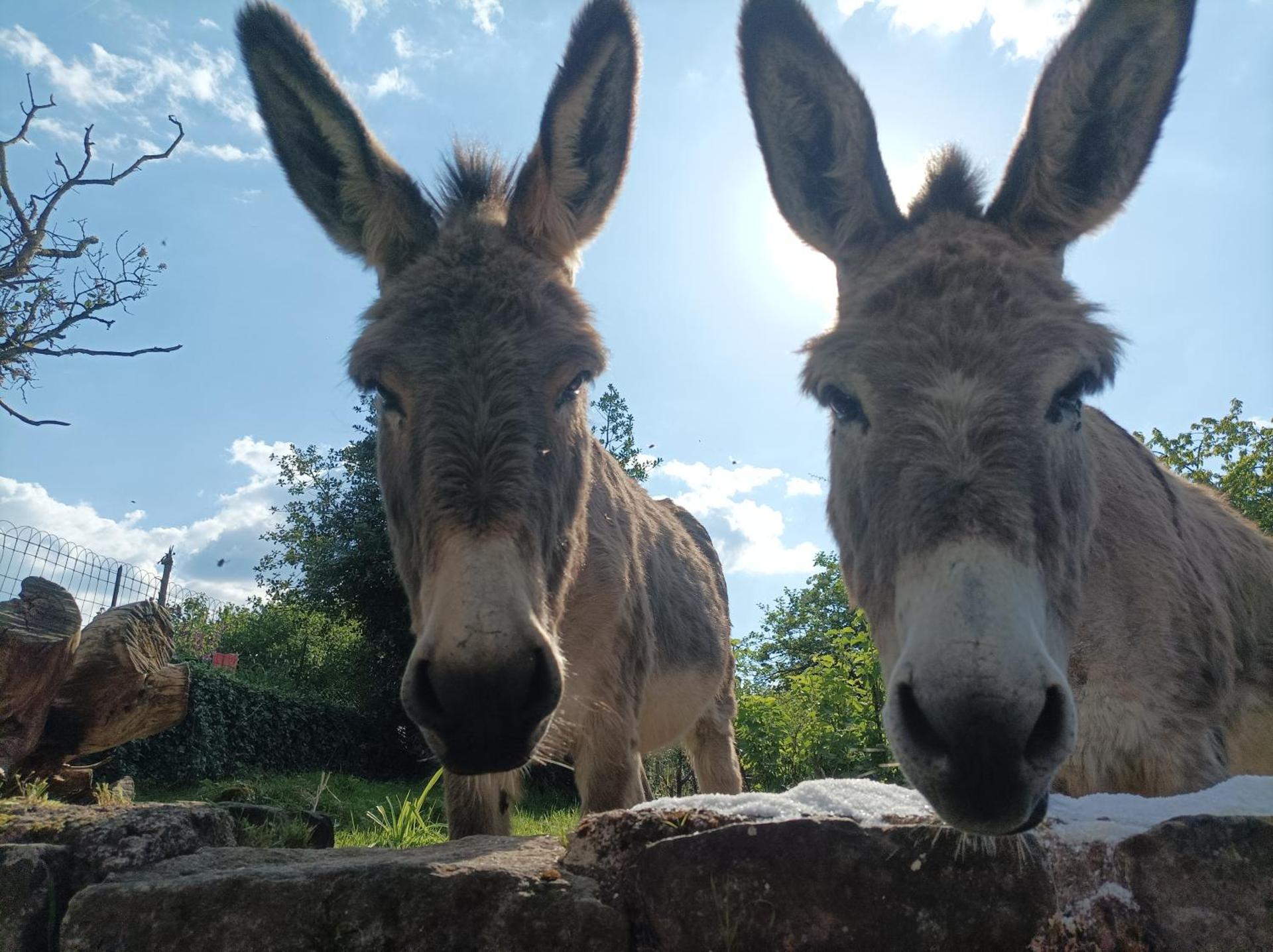 Les Charmois - Spa privatif en supplément et sur un autre site