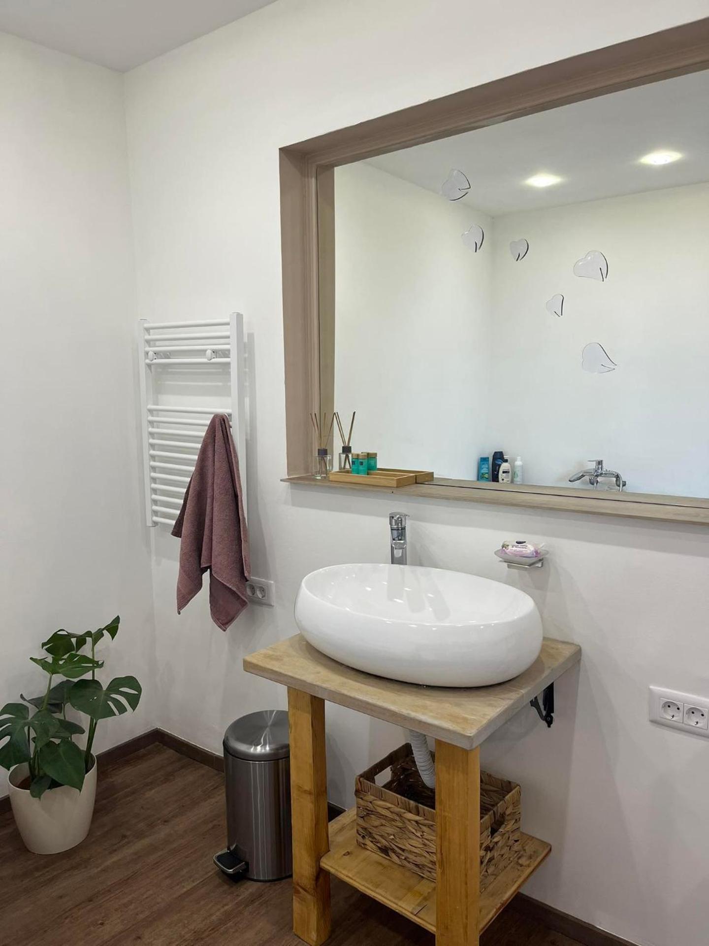 Apartment and Studio Ivan Dolac