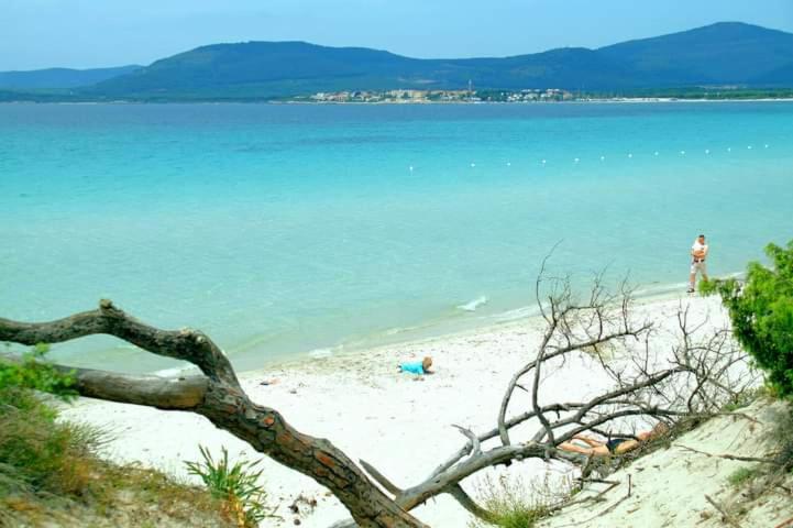 Flowered House with garden