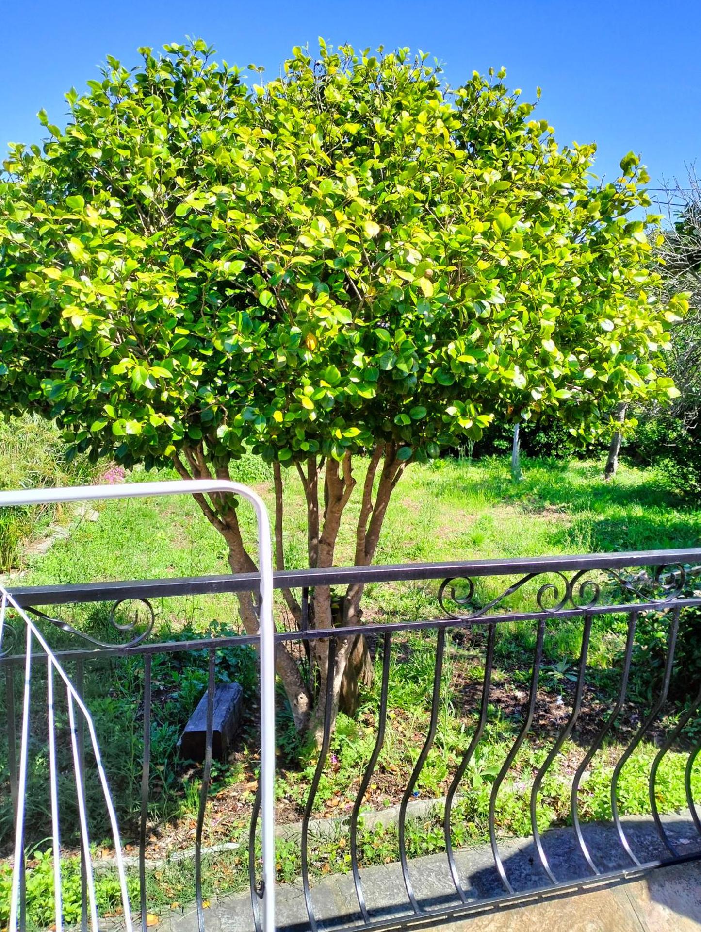 Maison individuelle padulella