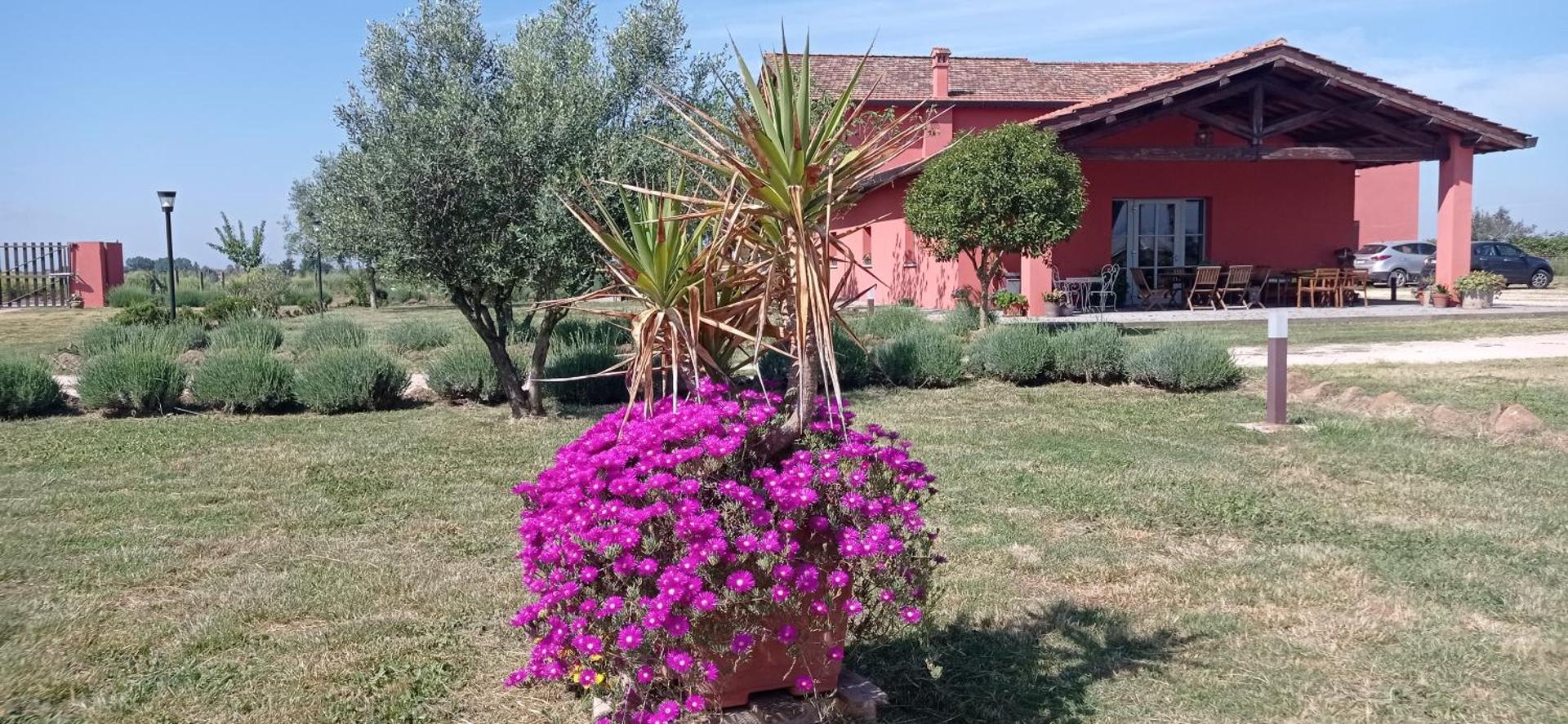 Il Casale di Giulia di Aprilia