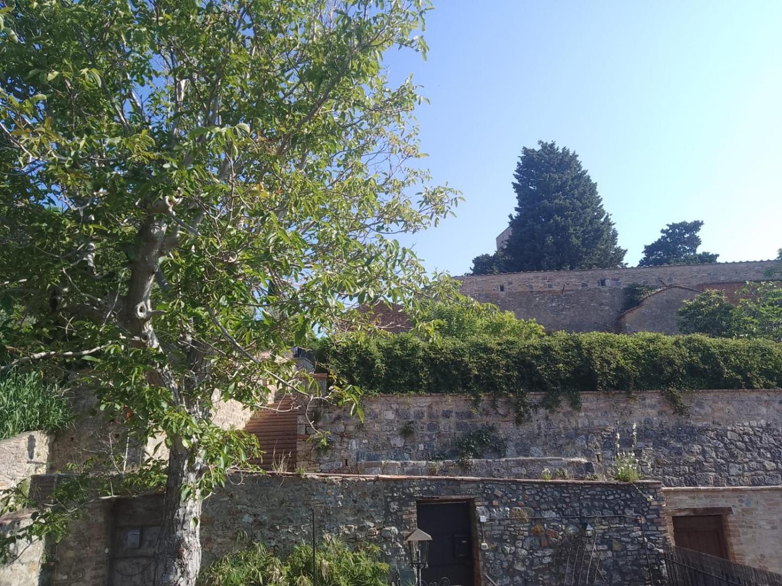 Inner courtyard view