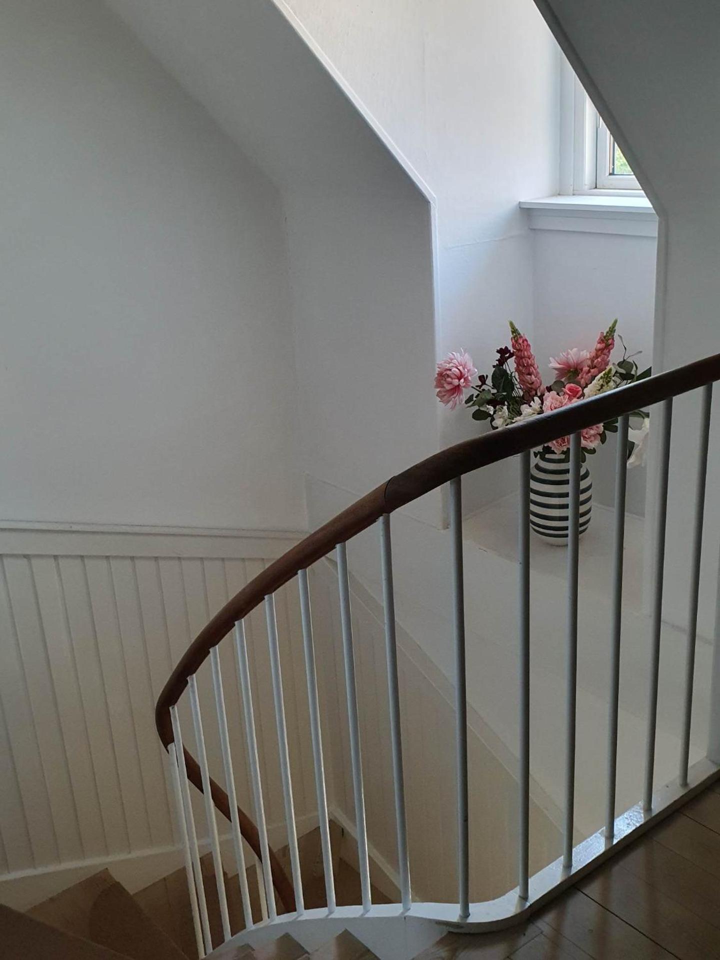 Pegasus Bed & Breakfast