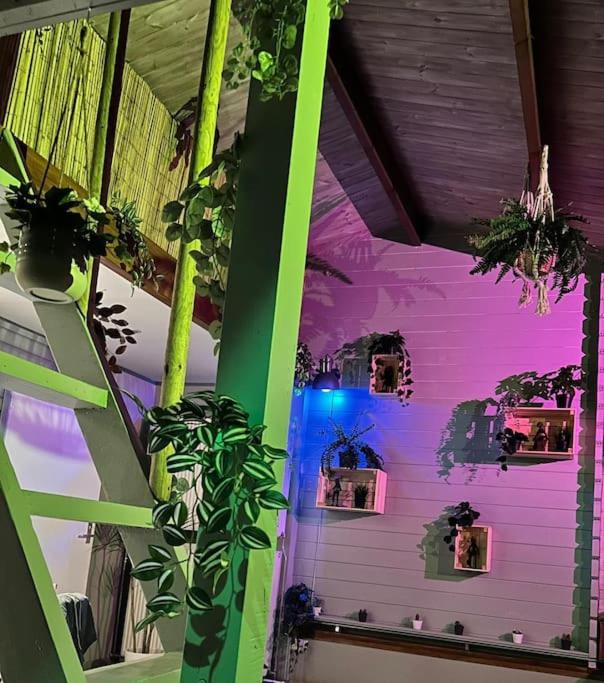 Jungle style lodge with jacuzzi ,sauna and garden near Amsterdam