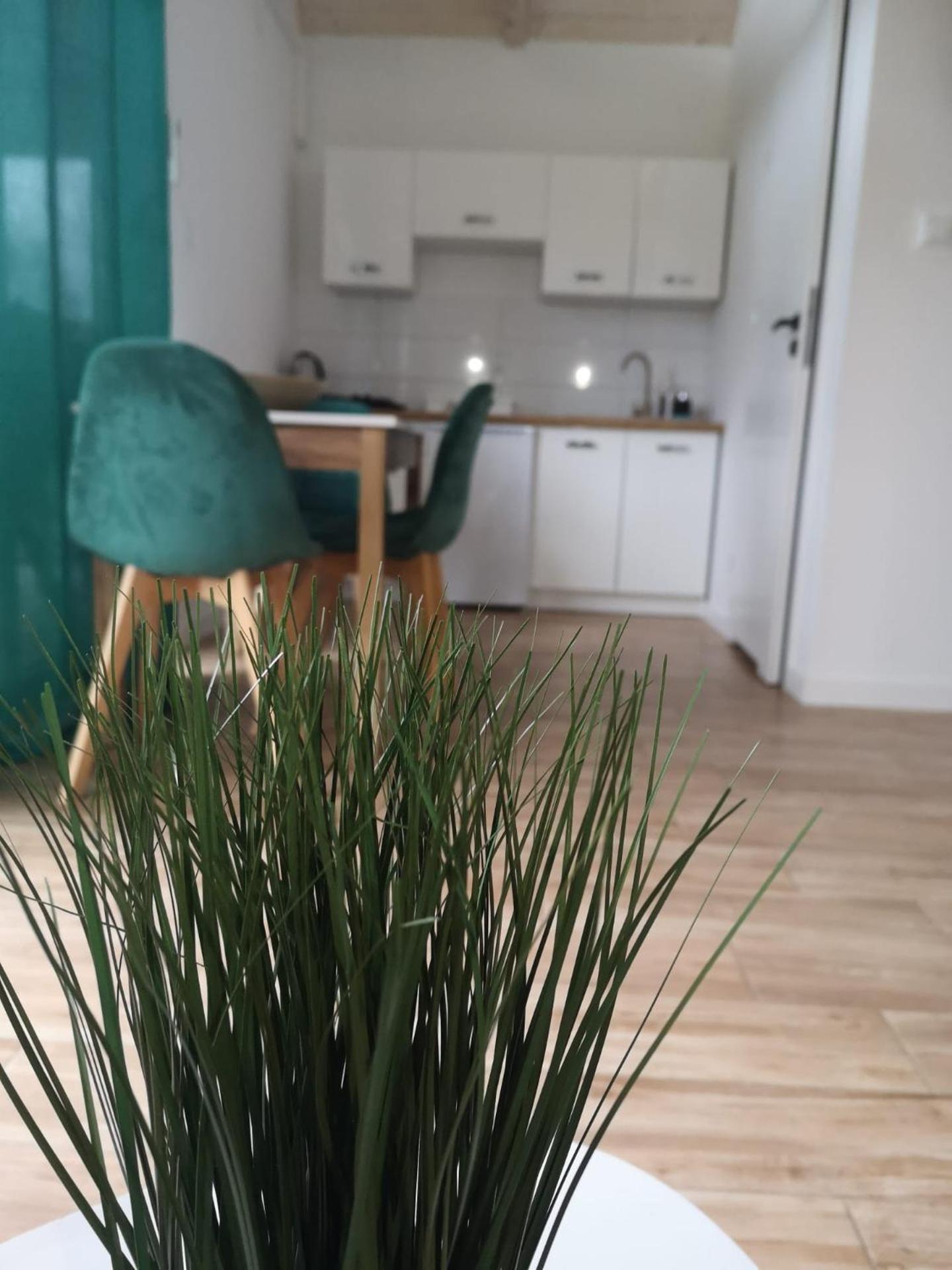 Domki Dolina Roztocza