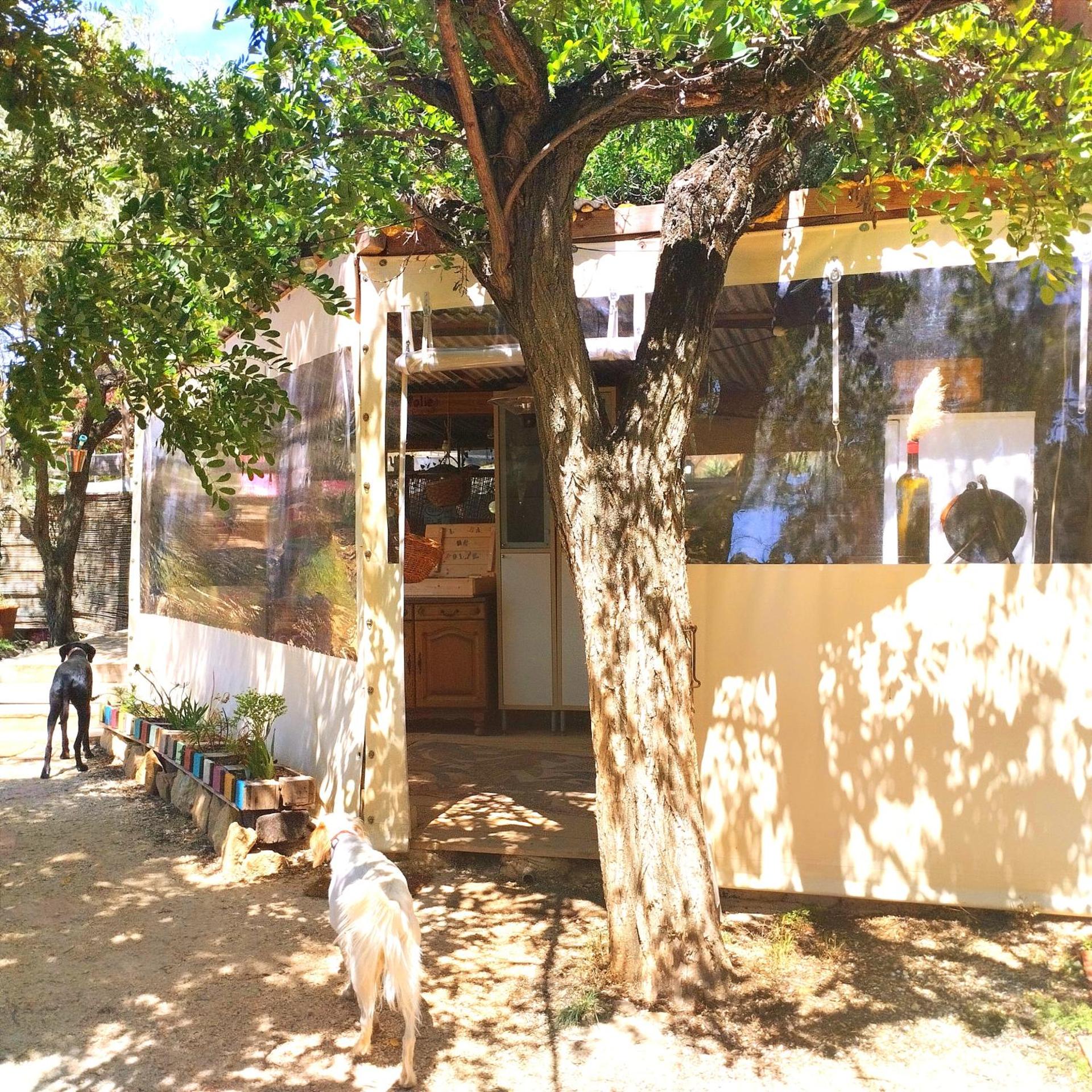 Arche de Noé atypique, bohème , nature, piscine chauffée de Pâques à Toussaint , spa , sauna , loisirs