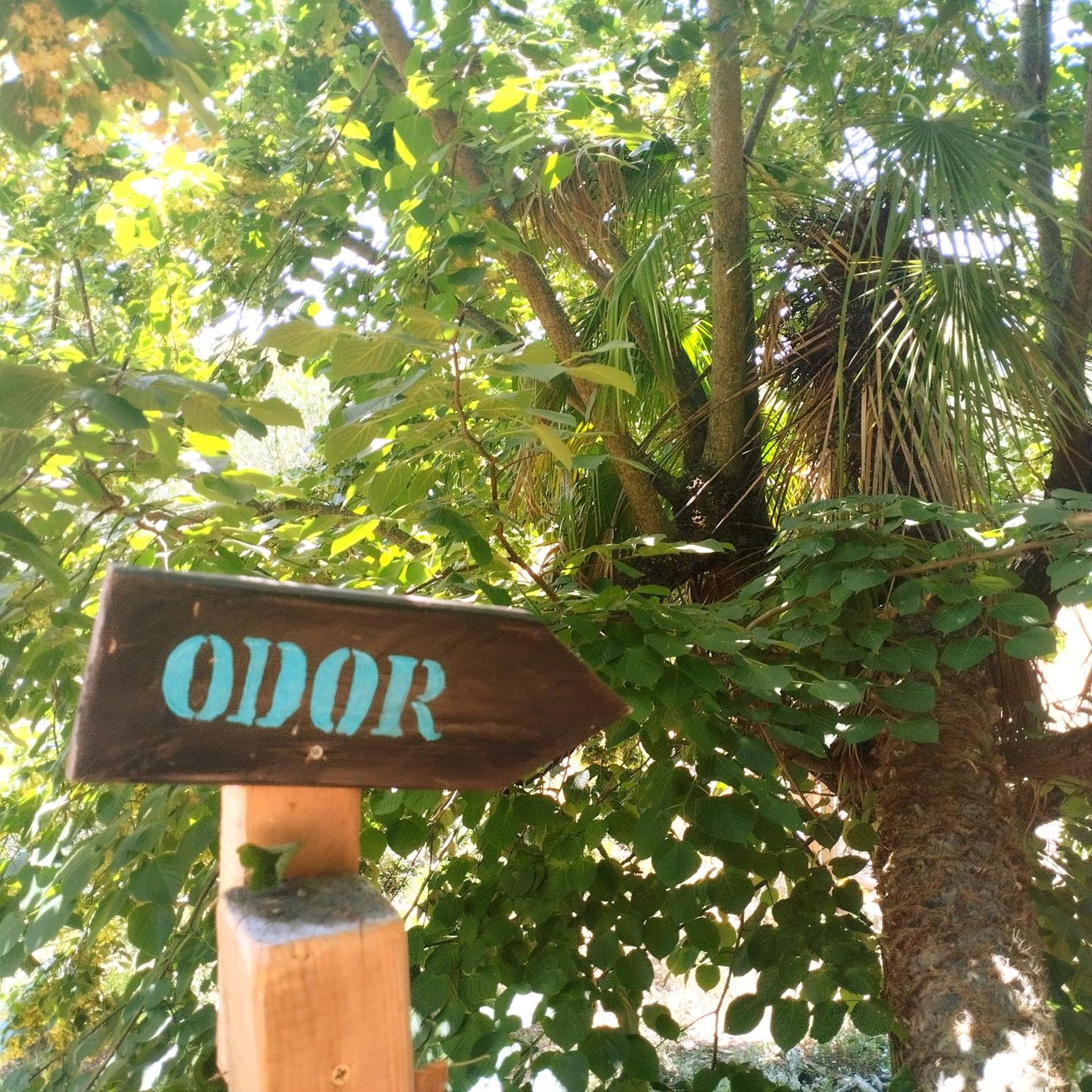 Arche de Noé atypique, bohème , nature, piscine chauffée de Pâques à Toussaint , spa , sauna , loisirs