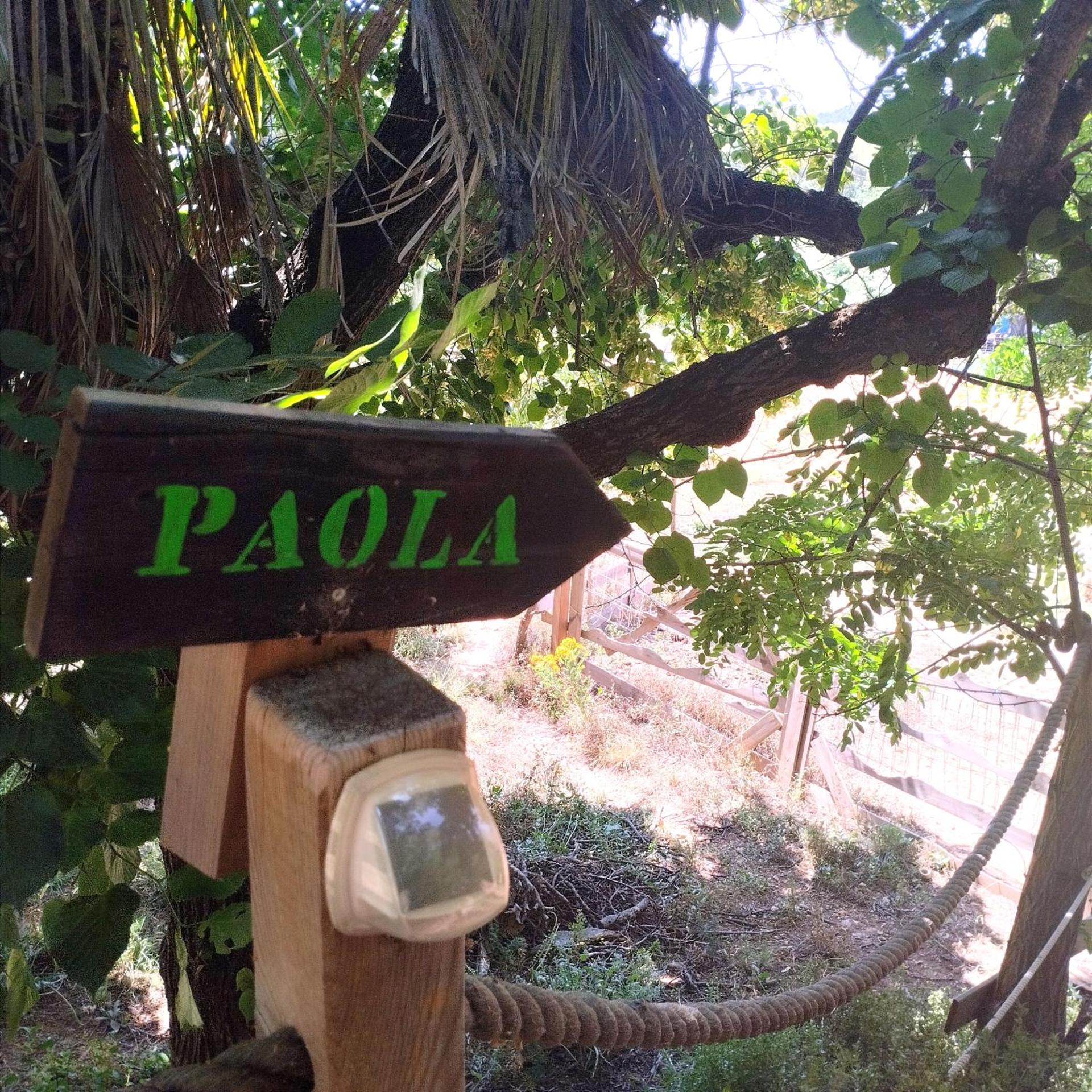 Arche de Noé atypique, bohème , nature, piscine chauffée de Pâques à Toussaint , spa , sauna , loisirs