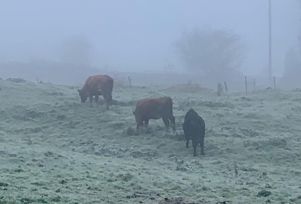 Happy Feet Cottage, Sleeps 6