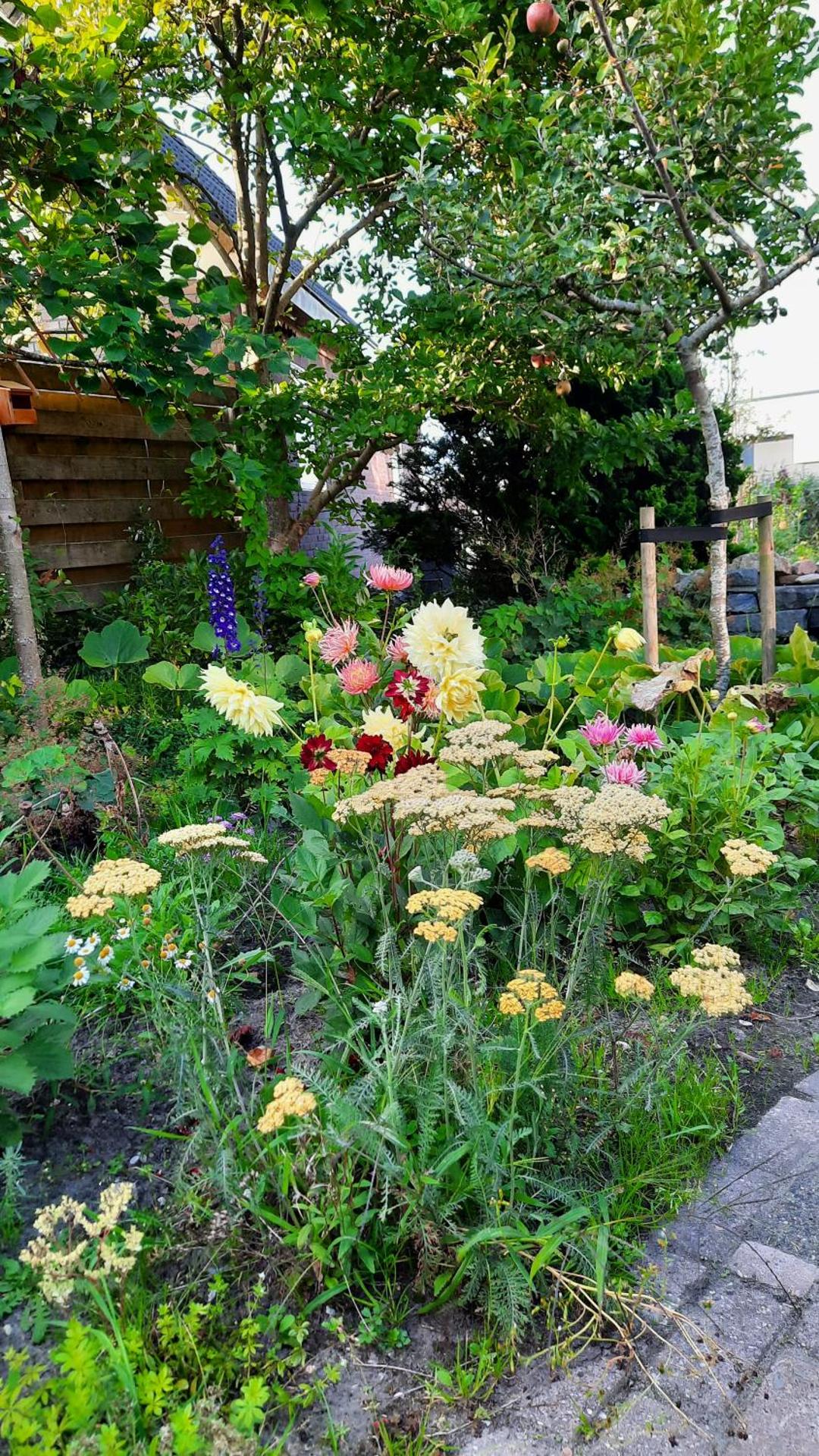 bijzondere studio op unieke, rustige locatie
