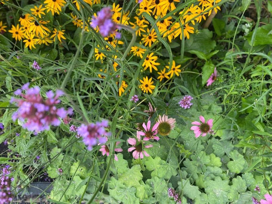 Bed & Wellness Klein Knorrestein with private hottub and sauna and tandembike rental included in price