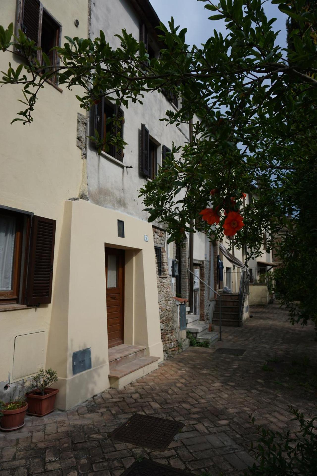 SAILA Monolocale SATURNO