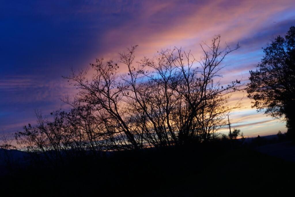 SAILA Monolocale MARTE