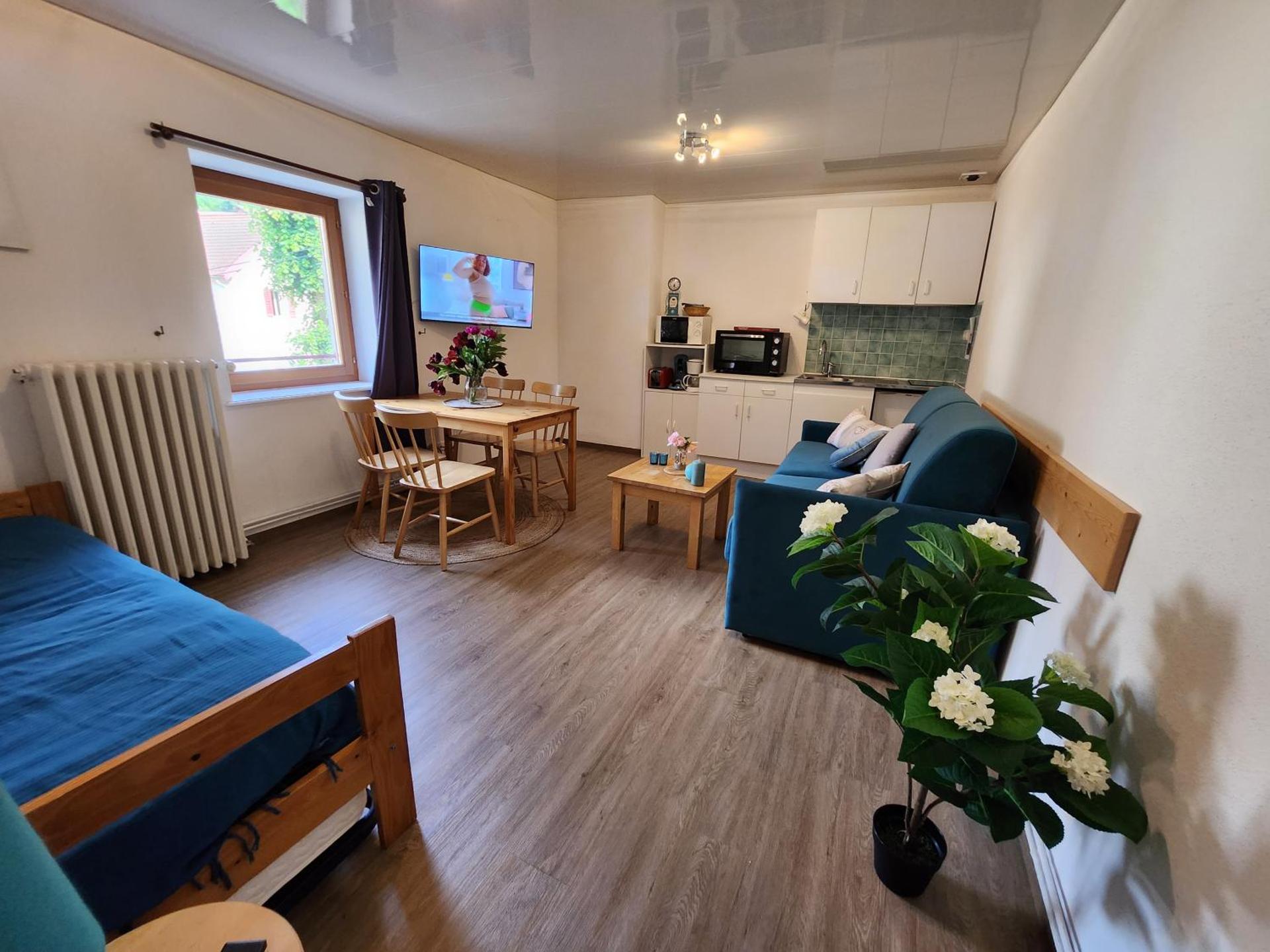 Gite Bruyère, 2 à 5 personnes avec salle de jeux et SPA dans la résidence