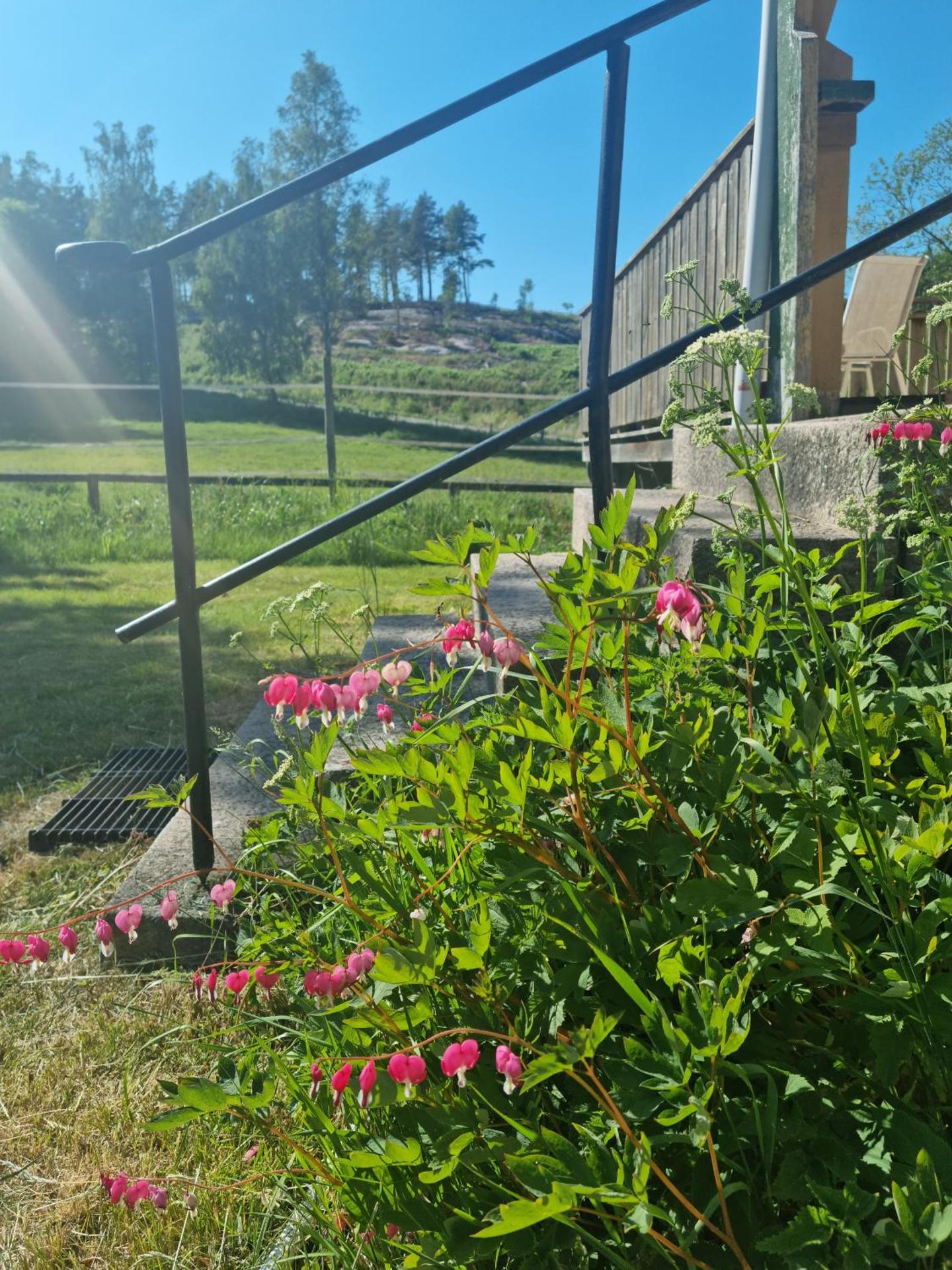 Charmigt hus på landet nära till bad