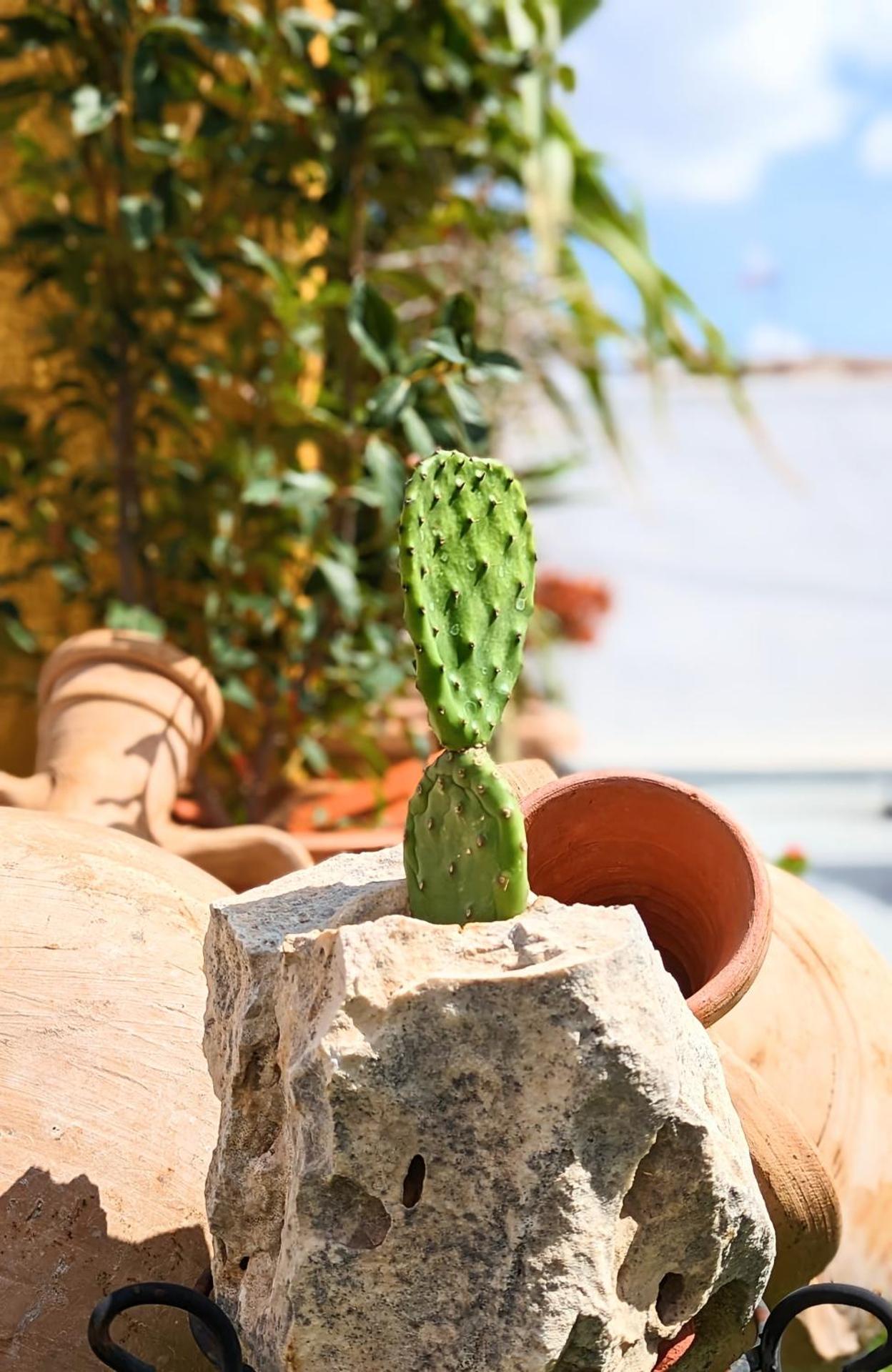 Los Caños - Calm home & parking