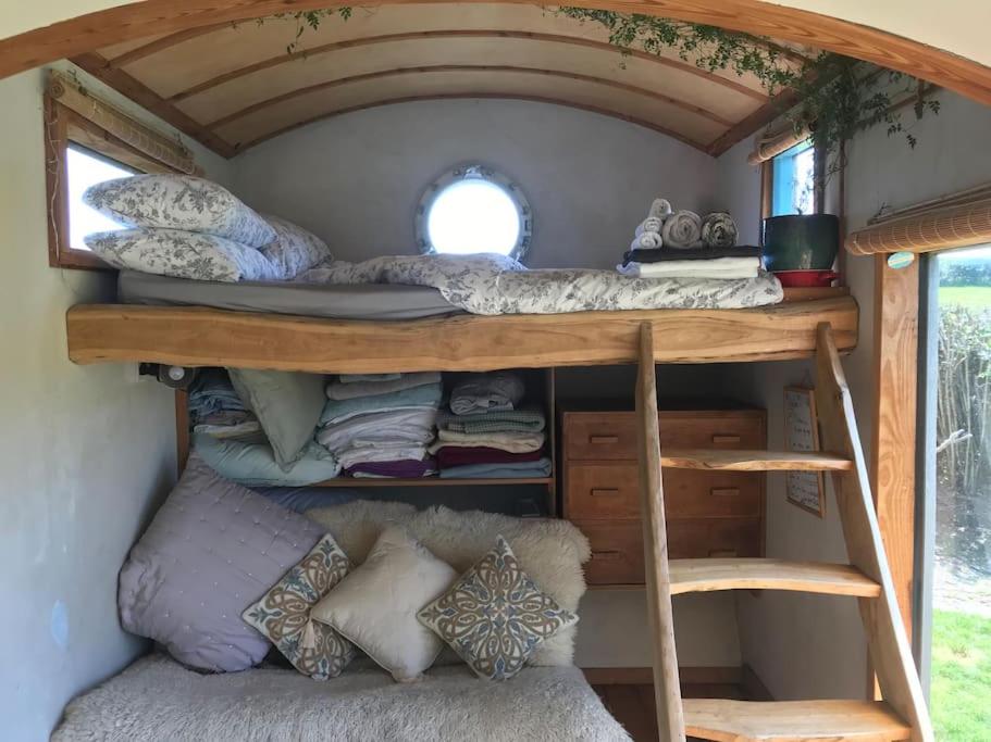 Secluded Shepherds Hut, with a view and hot tub