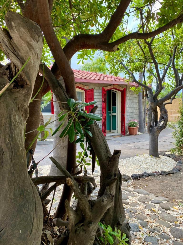 Frontemare Residence