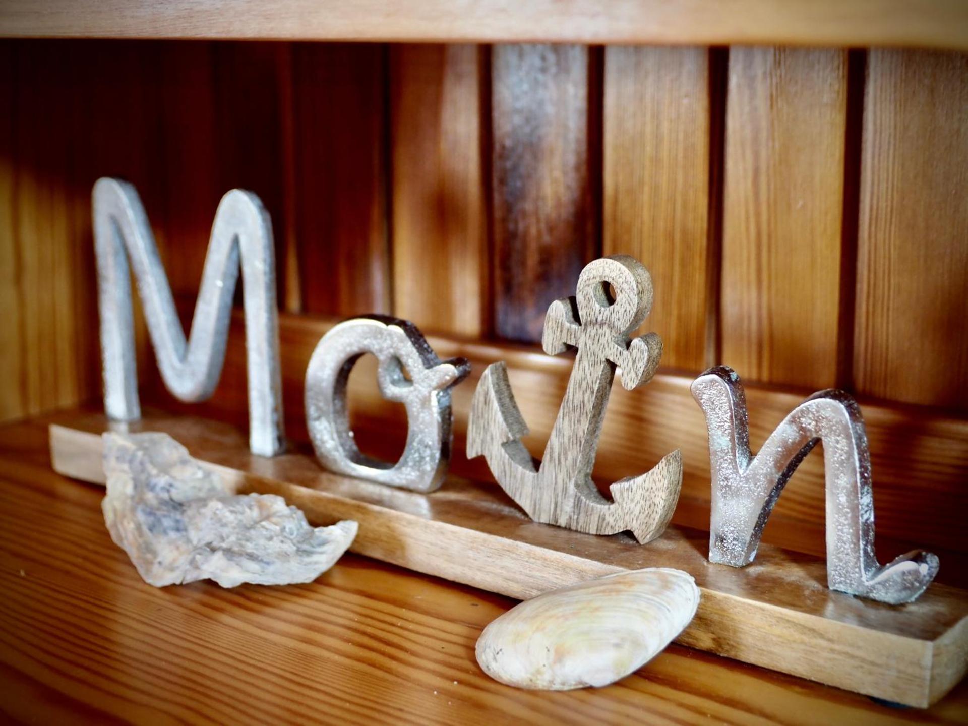 Ferienwohnung direkt am Deich - Seerobbe -