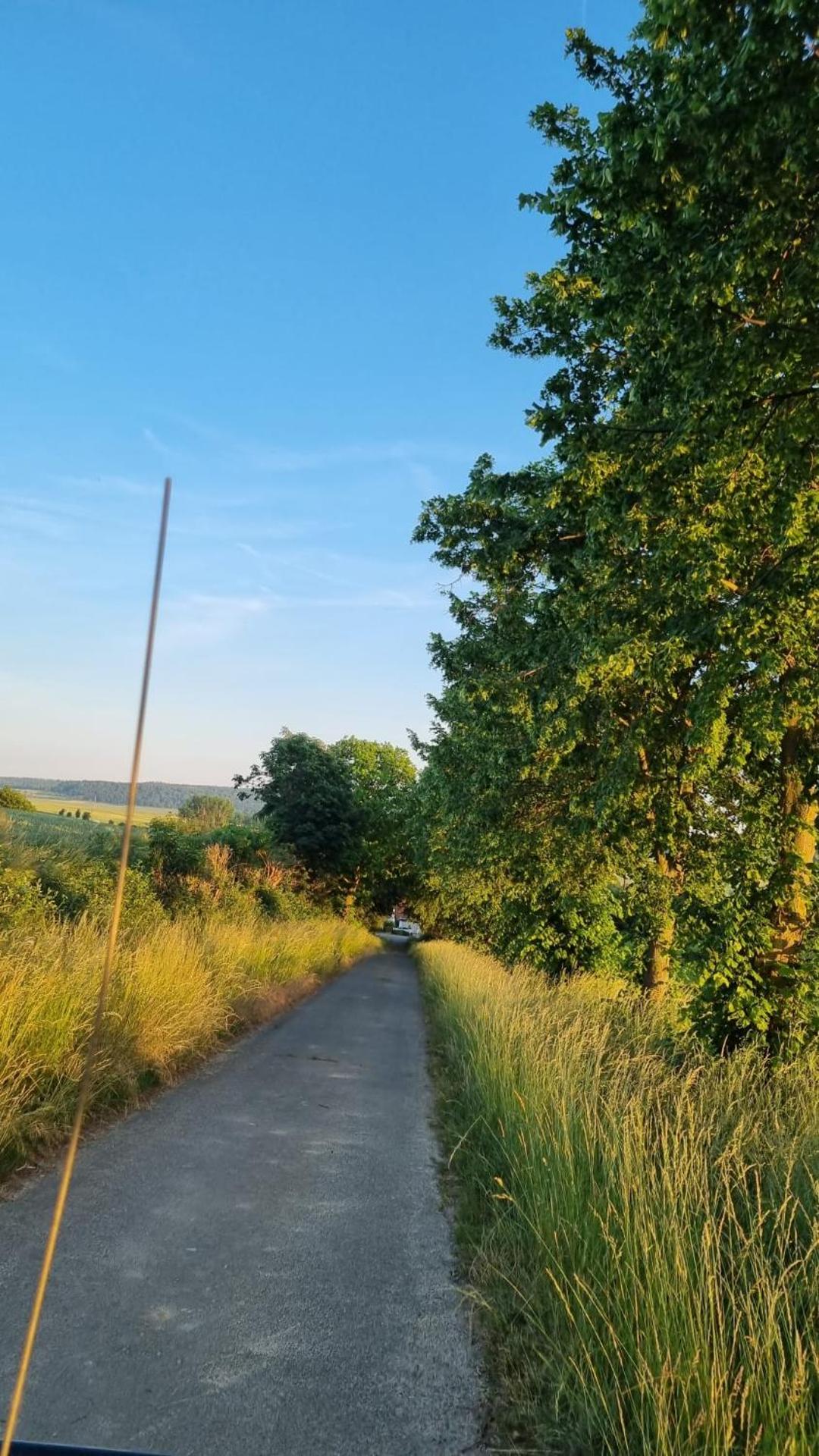 Ferienwohnung Despetal